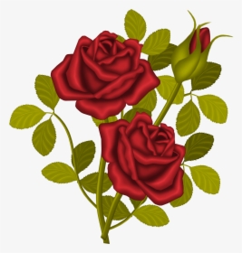 Transparent Roses Bouquet Clipart - Rose Bouquet Clipart, HD Png Download, Free Download
