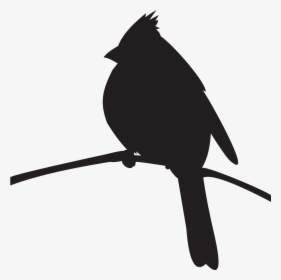 Cardinal On A Branch Silhouette, HD Png Download, Free Download