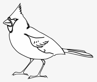 Cardinal Bird Svg Black And White, HD Png Download, Free Download