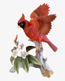 Transparent Cardinal Bird Png - Vintage Bird With Red Flowers, Png Download, Free Download
