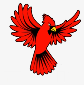 Cardinal Wings Open Clipart - Cardinal Bird Open Wings, HD Png Download, Free Download