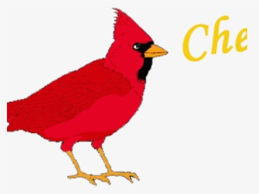 Transparent Cardinal Clipart - Northern Cardinal, HD Png Download, Free Download