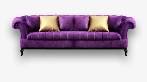 Showroom-sofa - Studio Couch, HD Png Download, Free Download