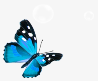 Butterfly Png Download - Transparent Blue Butterflies Png, Png Download, Free Download