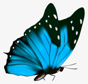 Transparent Blue Butterfly Clipart - Blue Butterfly Transparent Background, HD Png Download, Free Download