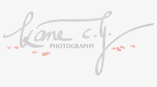 Cy Photography Kane - New Year Greetings, HD Png Download, Free Download