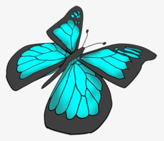 Free Butterflies Drawing - Brush-footed Butterfly, HD Png Download, Free Download