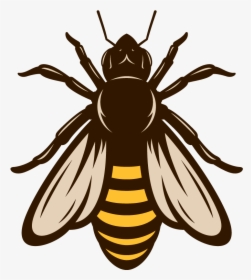 Schedule An Appointment Today If You Need Honey Bees - Honeybee, HD Png Download, Free Download