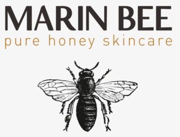 Marin Bee Skincare Logo - Tft Matrix In Oled, HD Png Download, Free Download