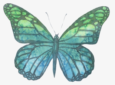 Transparent Moth Blue Green - Blue Green Watercolor Png, Png Download, Free Download