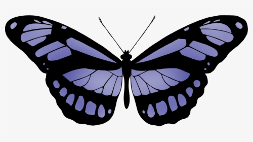 Butterfly 15 Clip Arts - Black Transparent Butterfly Meaning, HD Png Download, Free Download