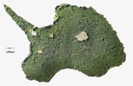 Moss , Png Download - Moss, Transparent Png, Free Download