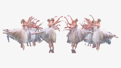 Ballet Swan Lake Png Download Image - Turkey, Transparent Png, Free Download