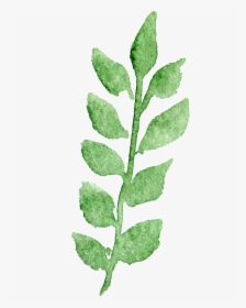 Transparent Watercolor Watercolor Painting Transparency - Leaf Painting Transparent Background, HD Png Download, Free Download