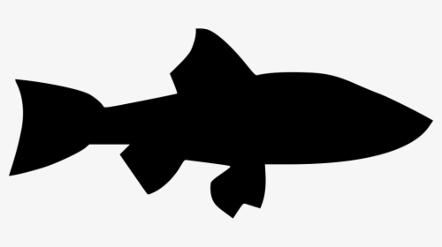 River Long Predator Lake - Shark, HD Png Download, Free Download