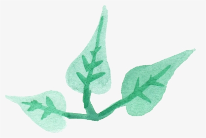 Leaf Png Transparent - Transparent Png Watercolor Leaf, Png Download, Free Download