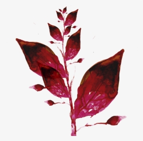 Leaf Ink Color Wallpaper - Maroon Flower Watercolor Png, Transparent Png, Free Download