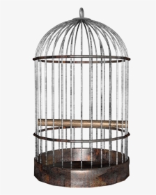 Cage Background Png - Transparent Bird Cage Png, Png Download, Free Download