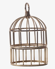 Cage Png Hd Wallpaper - Cage, Transparent Png, Free Download