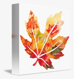 Fall Maple Leaf Watercolor Silhouette By Irina Sztukowski - Watercolor Fall Leaf, HD Png Download, Free Download
