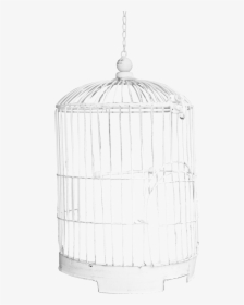 Cage White Png, Transparent Png, Free Download