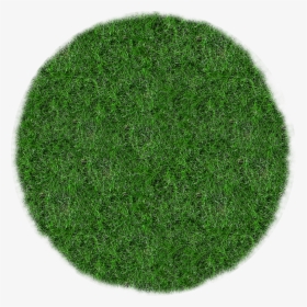 Grass Circle Transparent, HD Png Download, Free Download