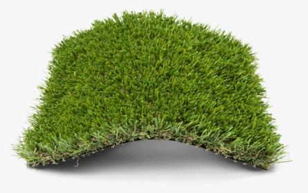 Megalawn - Hedge, HD Png Download, Free Download