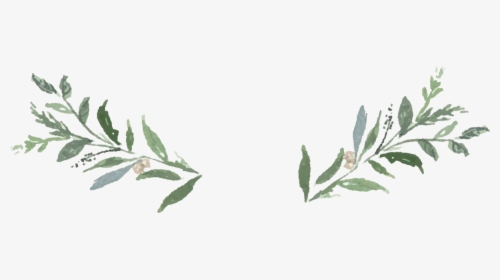 Greenery Transparent Background - Transparent Greenery Clipart, HD Png Download, Free Download