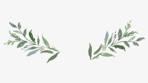 greenery illustration free download