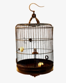Cage,bird Supply,pet Supply,bird - Cage, HD Png Download, Free Download