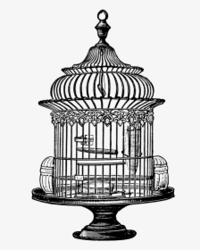 Bird Clip Art Library - Vintage Bird Cage Png, Transparent Png, Free Download