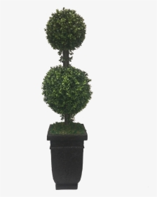 Topiary Hedge Shrub Bush Plant Freetoedit - Topiary Png, Transparent Png, Free Download