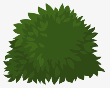 Green, Plants, Leaves, Leafy, Flora, Greenery, Foliage - Semak Semak Vektor Png, Transparent Png, Free Download