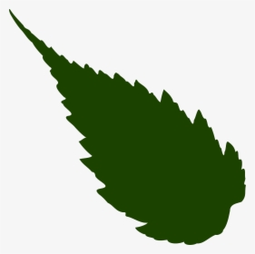 Neem Leaf Clipart, HD Png Download, Free Download