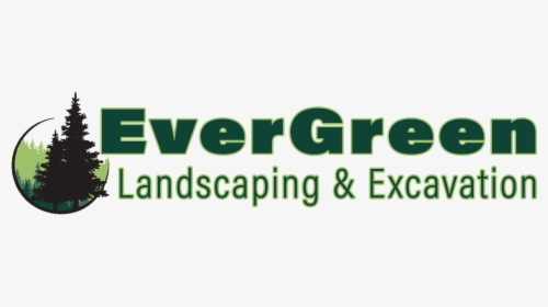 Tree, Hedge, Shrub Pruning And Removal - Evergreen Tree, HD Png Download, Free Download