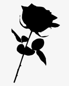 Black Rose Png - Transparent Background Rose Png, Png Download, Free Download