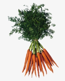 Carrot Png Image - Bunch Of Carrots Png, Transparent Png, Free Download