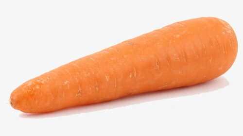 Wild-carrot - Baby Carrot, HD Png Download, Free Download