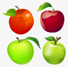 Transparent Apples Png - Free Vector Apple, Png Download, Free Download