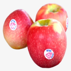 Transparent Apples Png - Pink Lady Apples, Png Download - kindpng