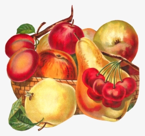 Transparent Apples Clipart - Fruit Bowl Fancy Clipart, HD Png Download, Free Download
