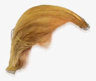 Trump Hair Png - Donald Trump Hair Only, Transparent Png, Free Download
