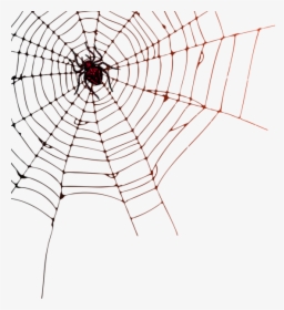 Transparent Cobweb Png - Transparent Background Spider Web Png, Png Download, Free Download