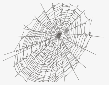 Spider Web Clipart Transparent Background - Transparent Background Spider Web Png, Png Download, Free Download