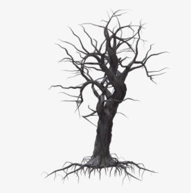 Tree Woody Plant Drawing - Arboles Secos Png, Transparent Png, Free Download