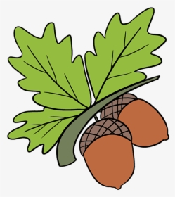 How To Draw Acorns - Simple Drawing Acorn Clip Art, HD Png Download, Free Download