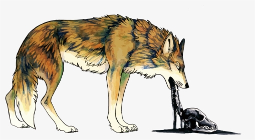 Coyote Dog Vomiting Illustration - Coyote Illustration, HD Png Download, Free Download