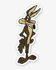 Willy Coyote - Transparent Road Runner Png, Png Download, Free Download