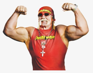 Download Hulk Hogan Png Photos 1 209 - Hulk Hogan Png, Transparent Png, Free Download