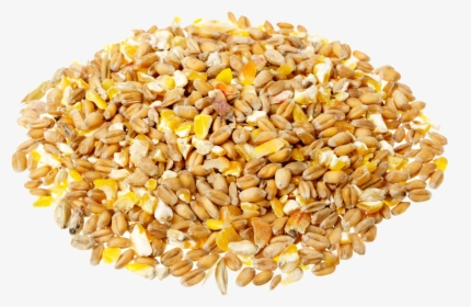 Grain Transparent Background - Cereali Png, Png Download, Free Download